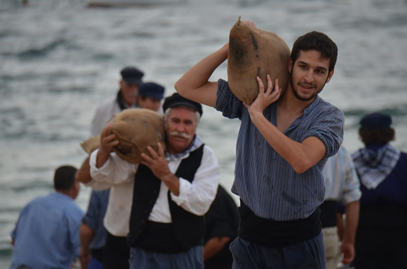 Les festes marítimes, patrimoni en evolució